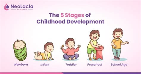 The 5 Stages Of Childhood Development Neolacta Lifeciences