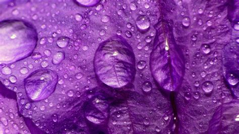 Pretty Purple Wallpaper ·① Wallpapertag