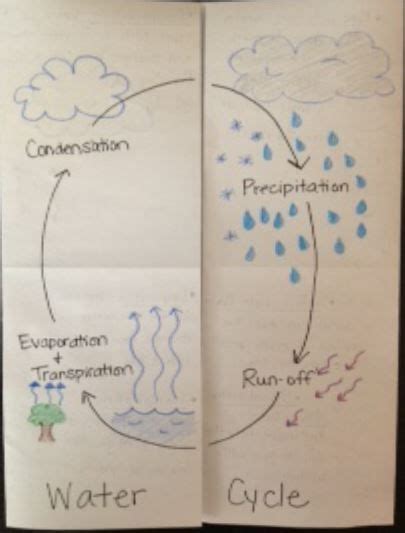 Pin By Sarah Trahan On Classroom Fun Water Cycle Foldable Water