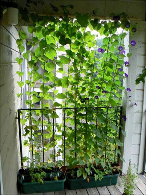 The idea here is to keep out the. 10 Enjoyable DIY Outdoor Privacy Screen Ideas ...