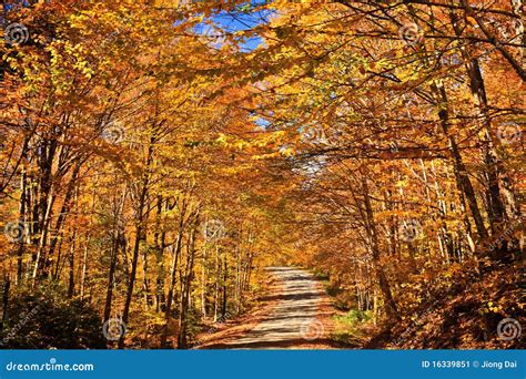 Wonderful Fall Color Road Stock Image Image Of Ontario 16339851