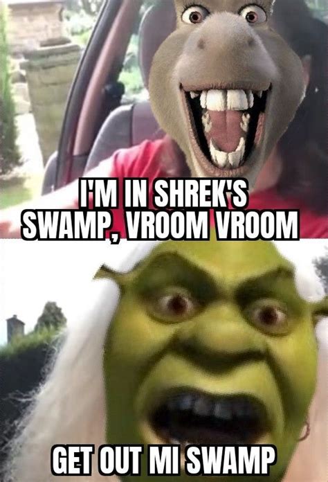 shrek get out mi swamp meme shrek memes swamp