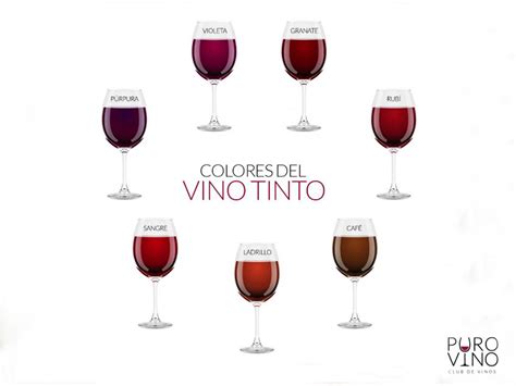 ¡todo Winelover Necesita Conocer Los Colores Del Vino Tinto Vino