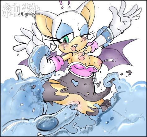 1025356 Amy Rose Sonic Team Utilizator Sonic The Hedgehog Album Part