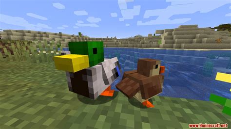 Untitled Duck Mod 1165 Animal Food 9minecraftnet