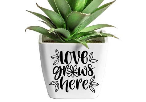 Plant Svg Files 6 Free Plant Quote Svgs