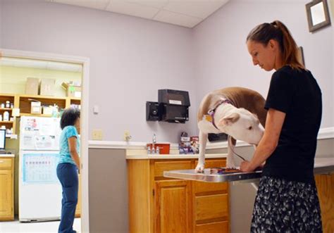 Companion Animal Clinic Veterinarians Boarding Grooming Blacksburg