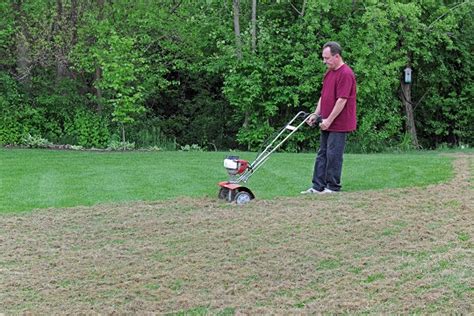 Bermuda grass (cynodon dactylon) is a perfect choice for those who live in a hot climate. How to Dethatch Lawns - Landscapers - Talk Local Blog