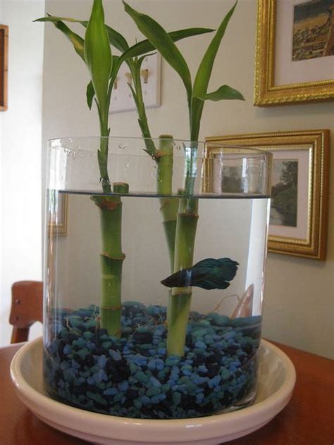 Fejka artificial potted plants don't require a green thumb. disenos-de-peceras-para-decorar-tu-casa (2) - Decoracion ...