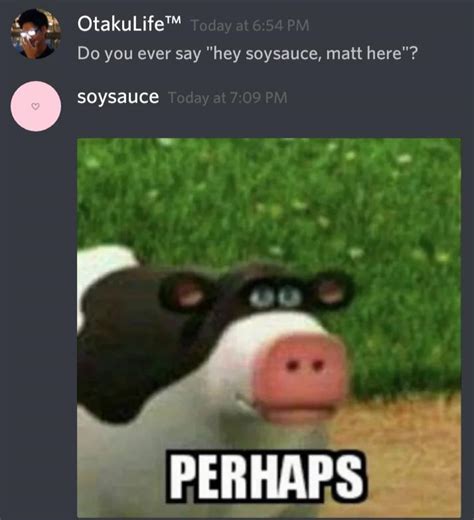 My Friend Made A Discord Meme For Me Rmemes