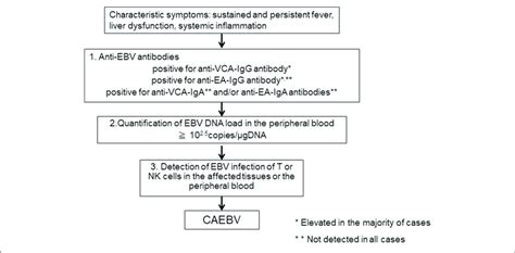 A Flowchart Of The Diagnosis Of Chronic Active Ebv Infection