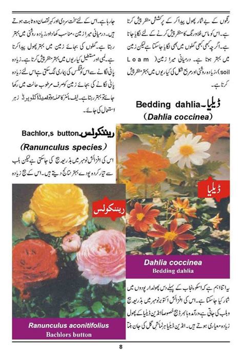 In warm climates there was not that problem. How to Grow Outdoor & Indoor Plants & Flowers - Urdu Guide ...