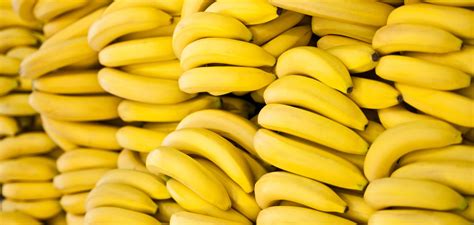 Bananas Imports Reach 210m In 9 Months Financial Tribune