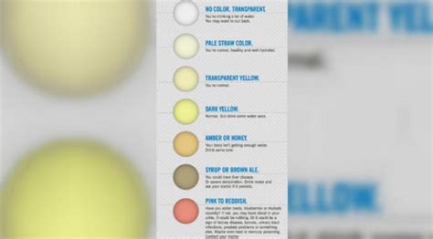 Namun tetap harus didukung oleh ciri ciri kehamilan usia 1 minggu lainnya. Fantastis 18+ Gambar Warna Feses - Gani Gambar