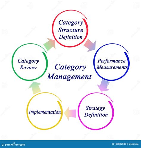 Stages Of Category Management Stock Illustration Illustration Of