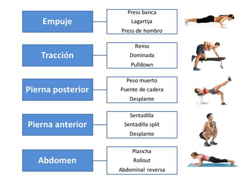 Los 6 Pasos Para Crear Programas De Entrenamiento Que Le Funcionan A