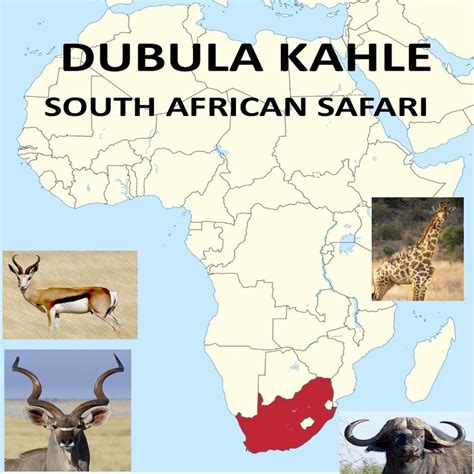 Dubula Kahle African Safari Home Facebook
