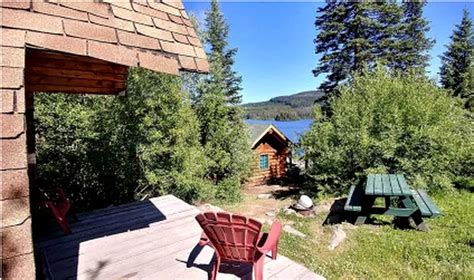 Air canada policy only for cats and small dogs. Pet-Friendly Cabin near Vernon, Canada