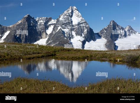 Mount Sir Donald Reflected In An Alpine Tarn Selkirk Mountains
