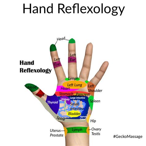 Hand Reflexology Geckomassage Massage Reflexology Handreflexology Canada Massagesupplies
