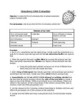 The strawberry dna extraction activity, lab protocol and student worksheets were modified and used with permission from julie townsend, parkview middle school, ankeny, ia. This resource is a quick, easy and affordable lab that ...