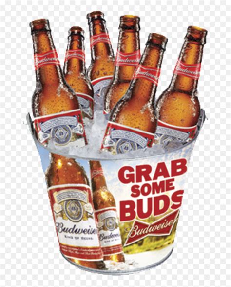Transparent Budweiser Beer Bottle Png Bucket Budweiser Png Png