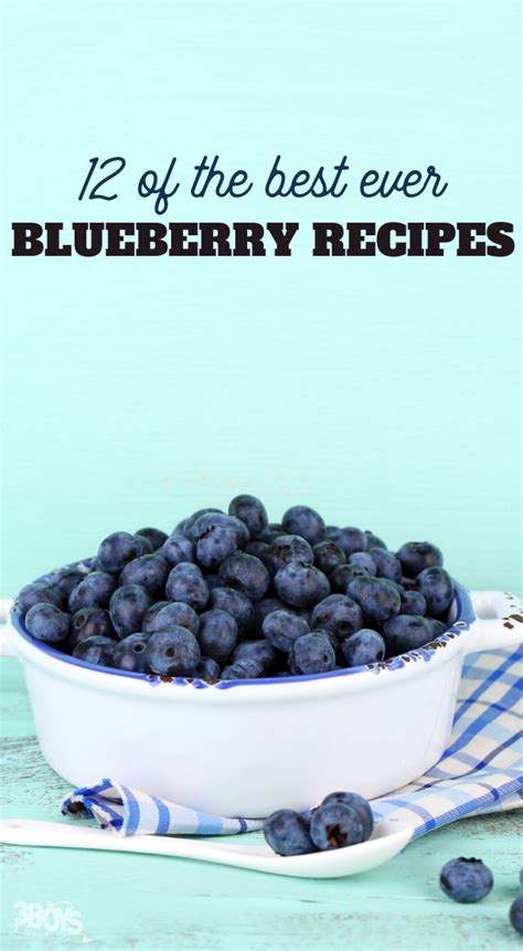 12 Of The Best Blueberry Recipes Thatll Make Your Mouth Water