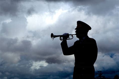 8700 Bugle Instrument Stock Photos Pictures And Royalty Free Images