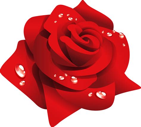 Transparent Red Rose Clip Art Red Rose Flower Png Full Size Clipart