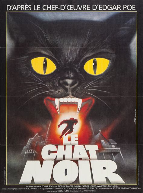 Print colors are extremely vivid and hold. The Black Cat (1981) (Lucio Fulci) | Film horreur