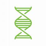 Genome Sequencing Whole Icons Dna Personalized