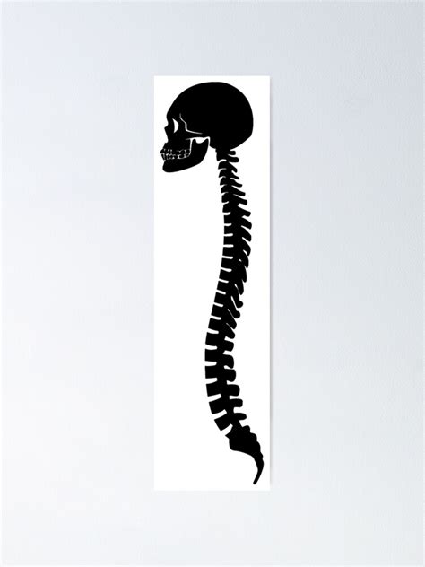 Skull And Spinal Cord Spine Bones Silhouette Poster By Aaronisback