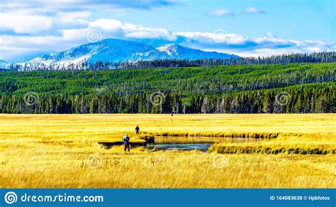 At the airports, weather observations are. De Madison-rivier Loopt Door De Grasslanden In Het ...