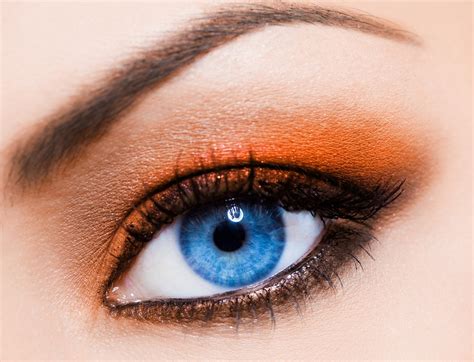 Best Eyeshadow Colors For Blue Eyes Musely