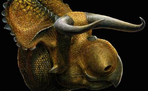 Paleontologists Discover New Horned Large Nosed Dinosaur Species