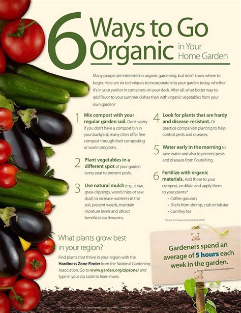 21 Best Eating Organic Images On Pinterest Eat Healthy