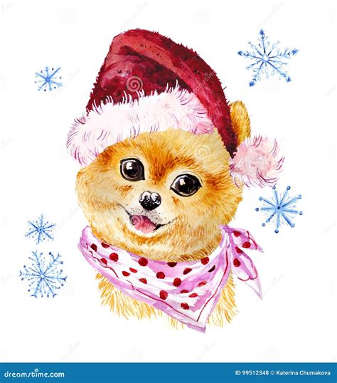 Watercolor Artistic Xmas Dog In Santa Hat Portrait Isolated On White