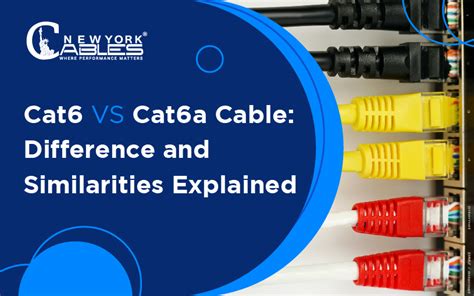 Cat6 Vs Cat6a Cable Difference And Similarities Explained