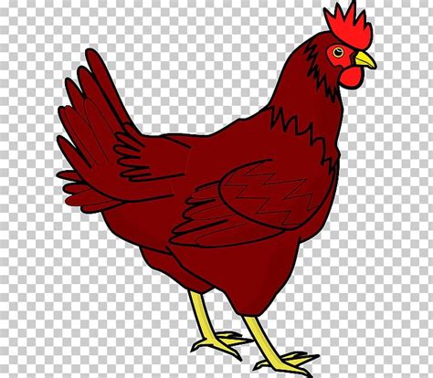 Cochin Chicken The Little Red Hen Png Clipart Art Beak Bird