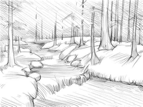 Easy Forest Drawing At Explore Collection Of Easy