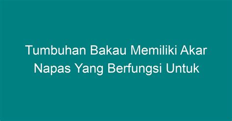 Tumbuhan Bakau Memiliki Akar Napas Yang Berfungsi Untuk Geograf