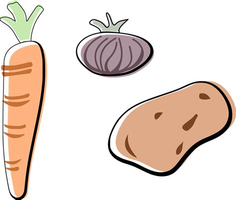 Carrot Onion Potato Free Vector Graphic On Pixabay