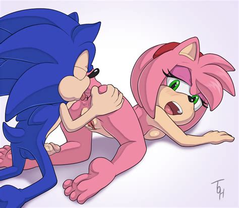 1557372 Amy Rose Sonic Team Sonic The Hedgehog The Other Half Holy