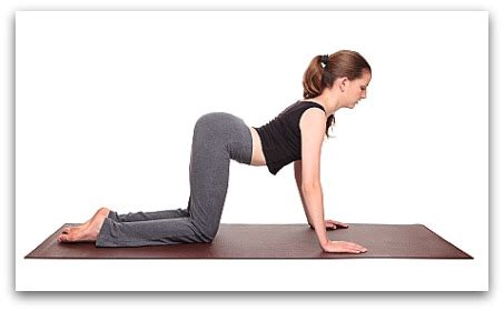 This is an excellent movement to do throughout pregnancy. Awaken the Animal - Basic Yoga Stretches for the Morning