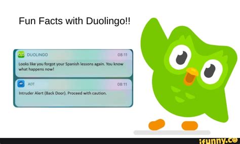 fun facts with duolingo looks like you forgot your spanish lessons again you know what