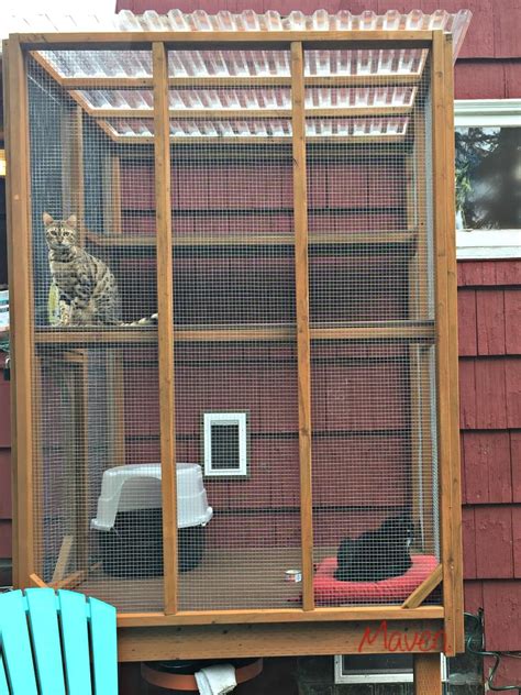 How to build a catio. Custom built catio in Seattle | Cat patio, Cat enclosure ...