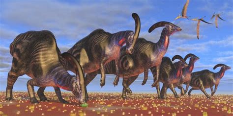 Natures Marvel The Unique Anatomy And Types Of Duck Billed Dinosaurs