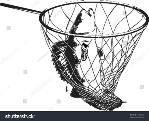 Using this net, fish are caught in one of three ways. Vector Drawing: Fish In The Fish-Net With Handle ...
