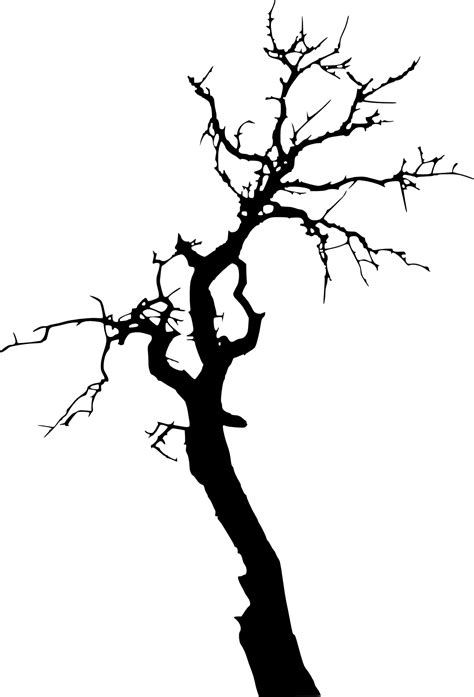 Tree Death Branch Clip Art Dead Png Download 10201500 Free