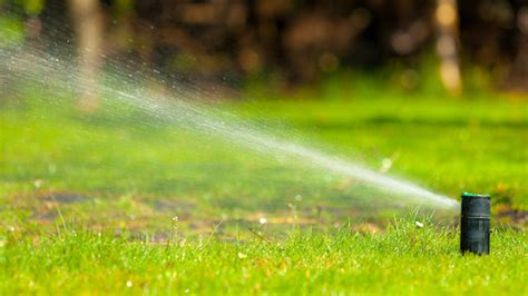Reasons To Hire Professionals To Install An Irrigation System Sposato